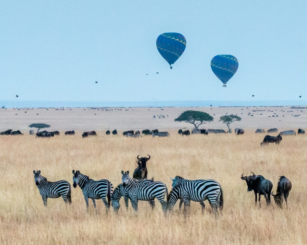 10-Day Kenya & Tanzania Safari Highlights