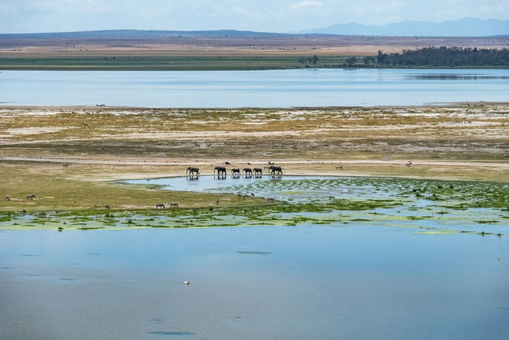 12-Day Kenya Safari Highlights