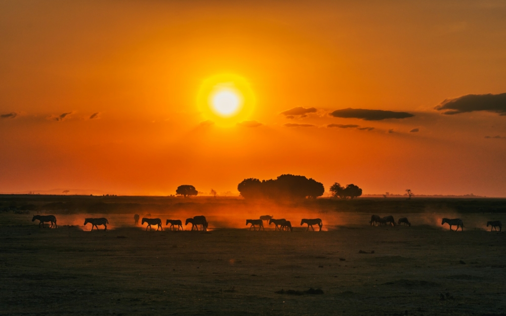 15-Day Kenya & Tanzania Safari Highlights
