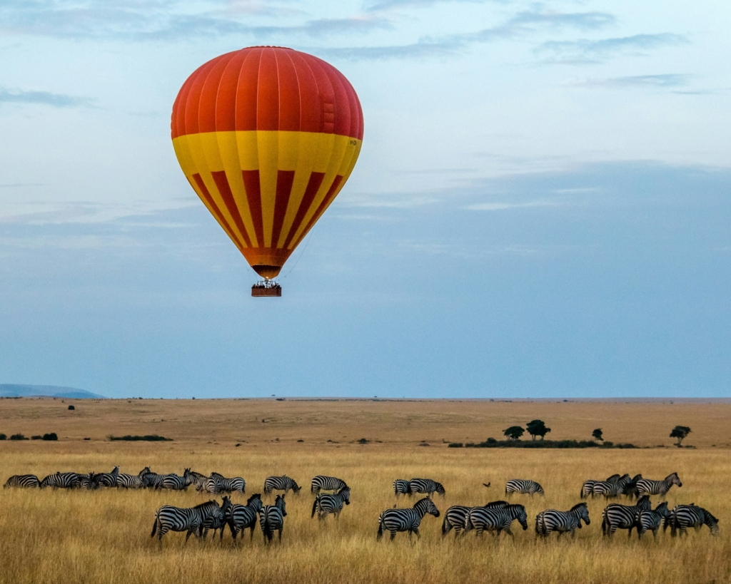 20-Day Kenya Safari Highlights