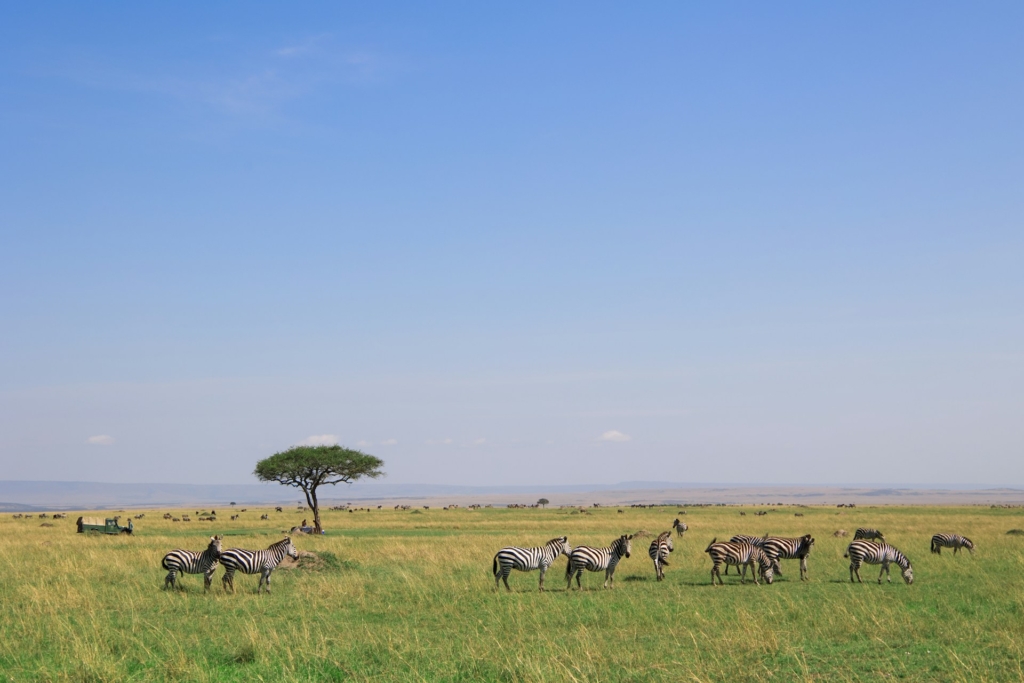 5-Day Kenya Safari Highlights