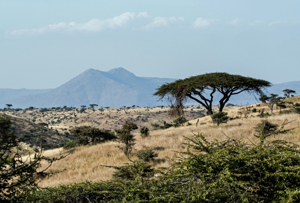 Detailed Kenya Big Five Safari Itinerary