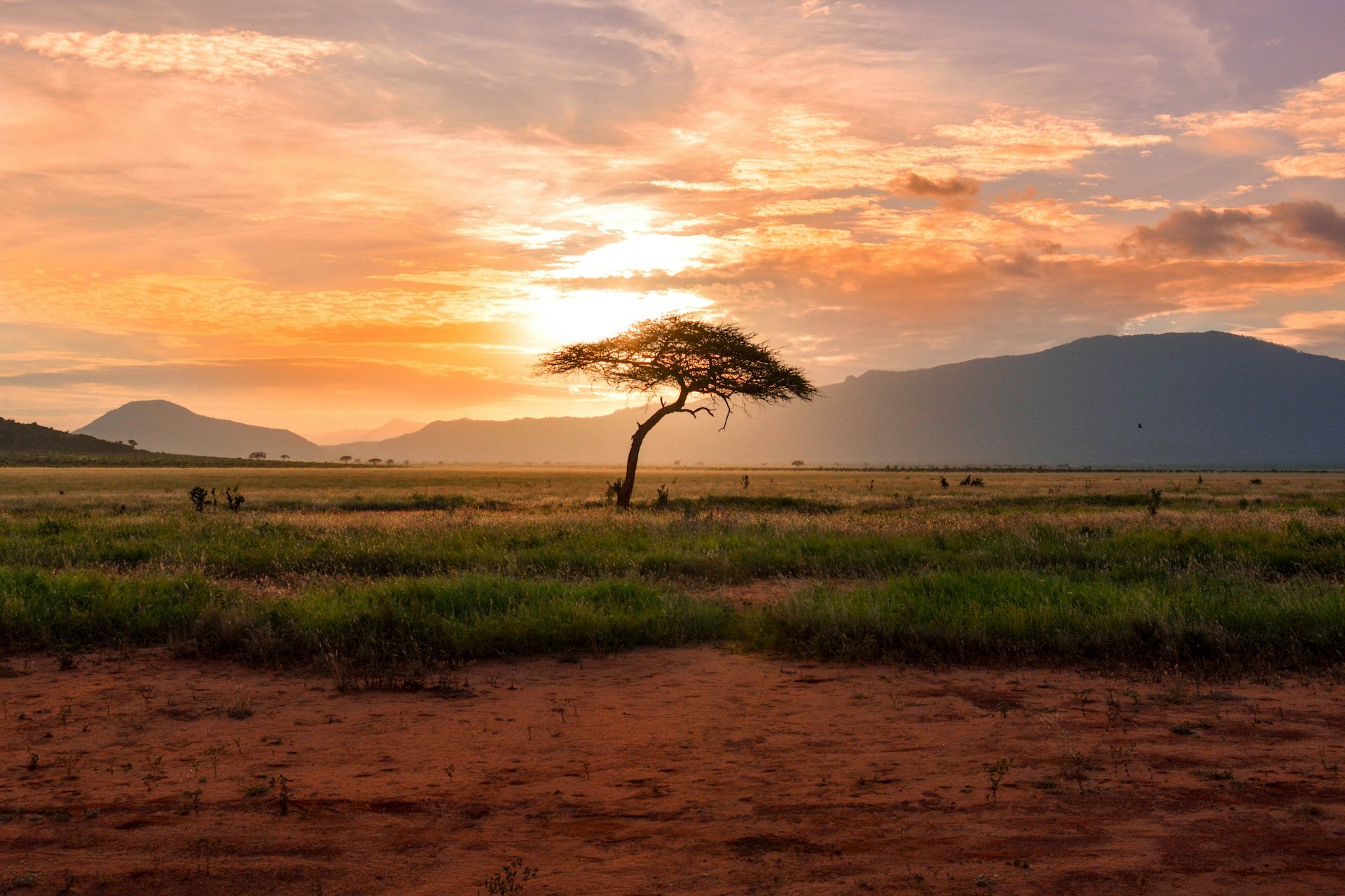21-Day Kenya Safari Highlights