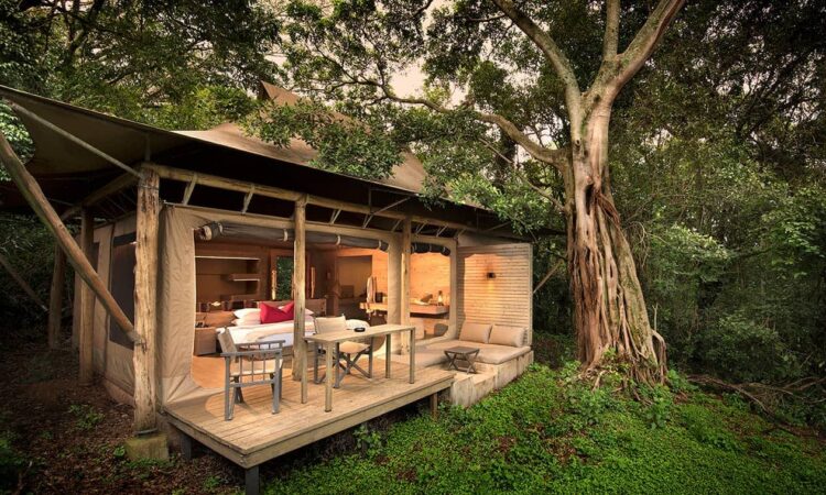 Best migration accommodation in Kenya