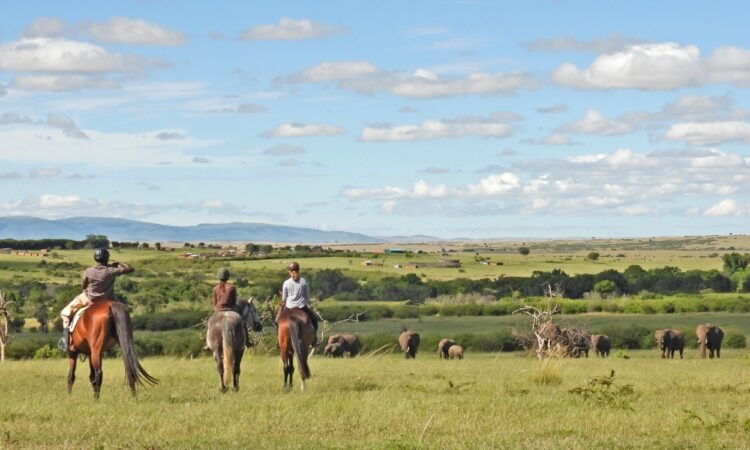 Horseback Riding Safaris in Maasai Mara