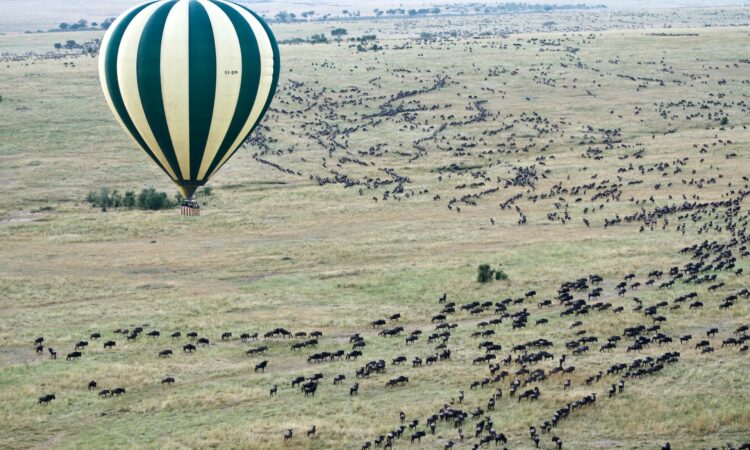 Hot air ballooning during the wildebeest migration