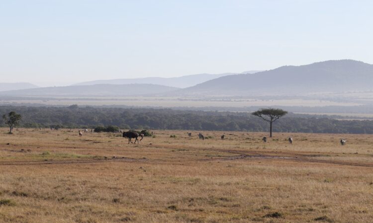 Maasai Mara Weather in September
