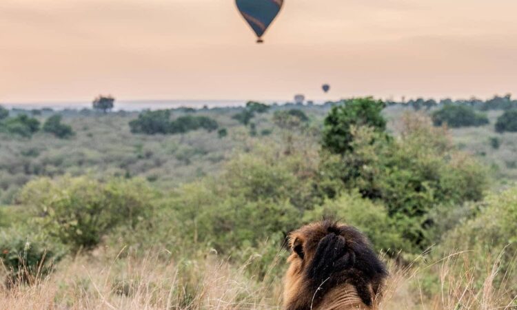 Mara Naboisho Conservancy