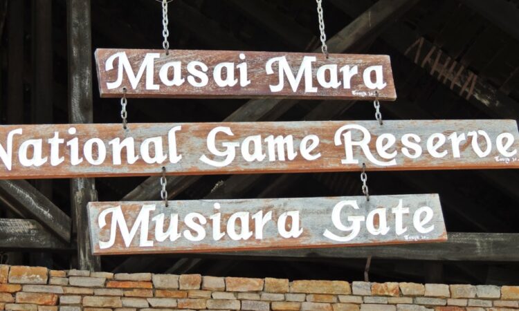 Musiara gate