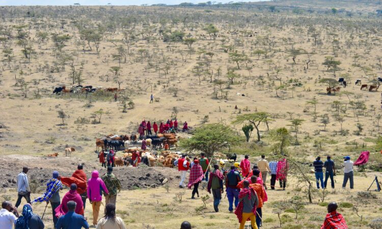 Olderkesi Conservancy