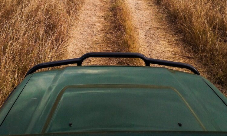 Self-drive Safaris to Maasai Mara