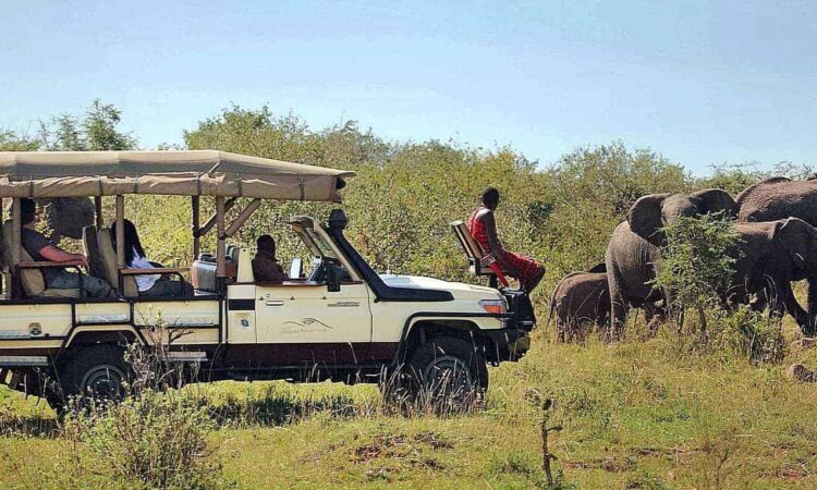 game drives Masai Mara